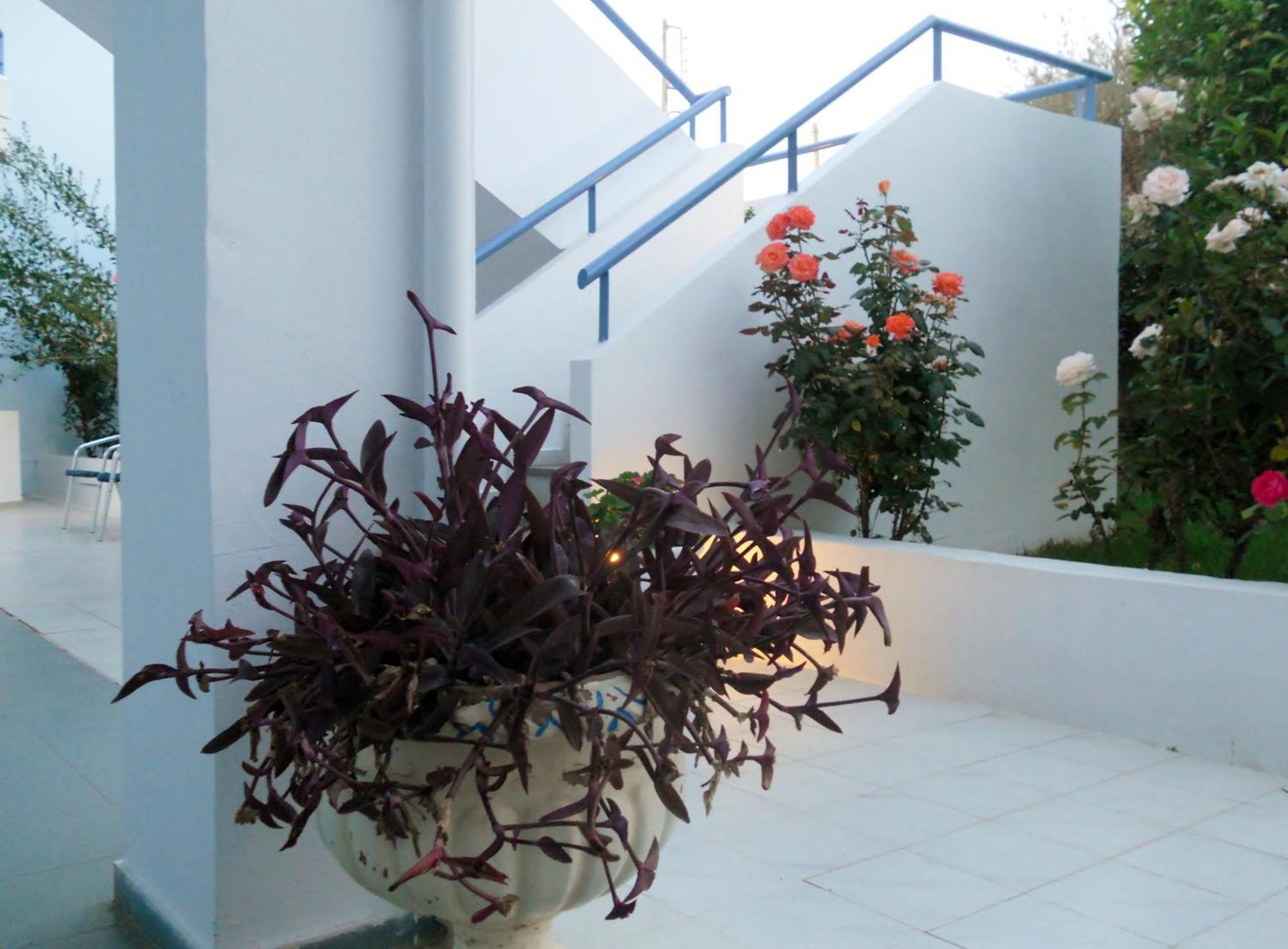 Dimitra Apartment Hotel 스카피디아 외부 사진